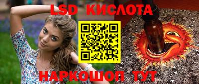spice Кандалакша